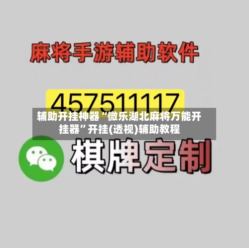 辅助开挂神器“微乐湖北麻将万能开挂器”开挂(透视)辅助教程