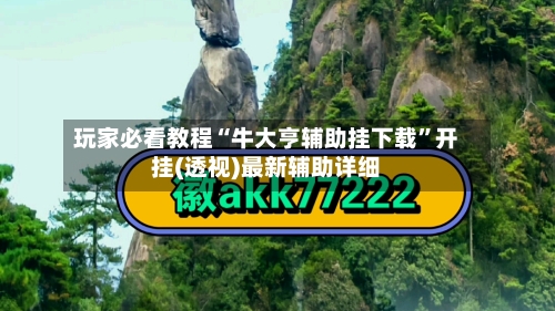 玩家必看教程“牛大亨辅助挂下载”开挂(透视)最新辅助详细