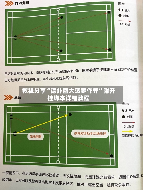 教程分享“德扑圈大菠萝作弊”附开挂脚本详细教程