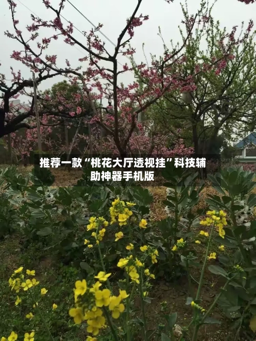 推荐一款“桃花大厅透视挂”科技辅助神器手机版