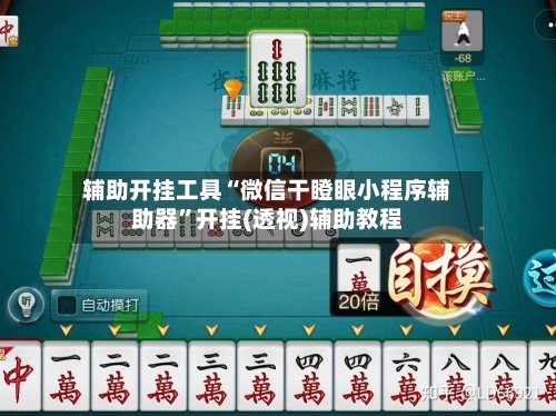 辅助开挂工具“微信干瞪眼小程序辅助器”开挂(透视)辅助教程