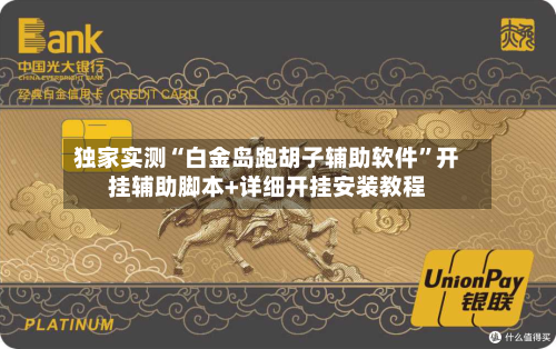 独家实测“白金岛跑胡子辅助软件”开挂辅助脚本+详细开挂安装教程