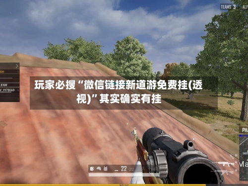玩家必搜“微信链接新道游免费挂(透视)”其实确实有挂