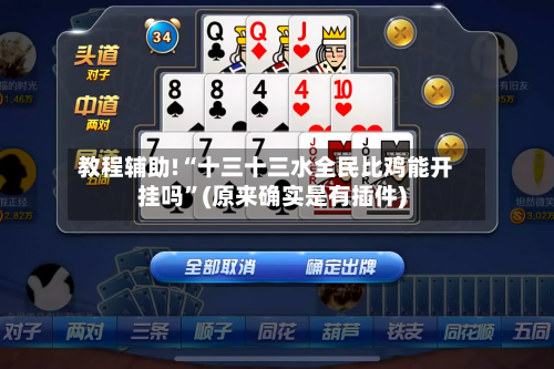 教程辅助!“十三十三水全民比鸡能开挂吗”(原来确实是有插件)