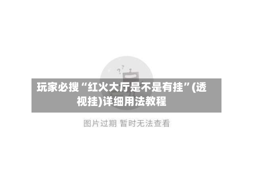 玩家必搜“红火大厅是不是有挂”(透视挂)详细用法教程