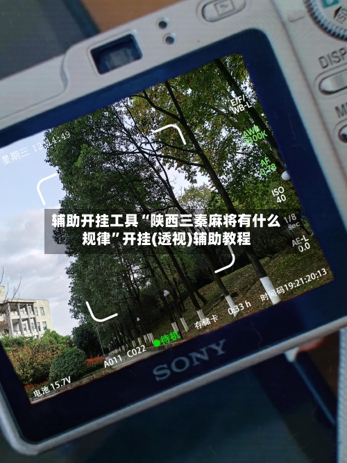 辅助开挂工具“陕西三秦麻将有什么规律”开挂(透视)辅助教程