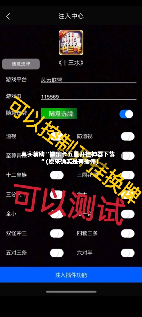 真实辅助“微乐卡五星开挂神器下载”(原来确实是有插件)
