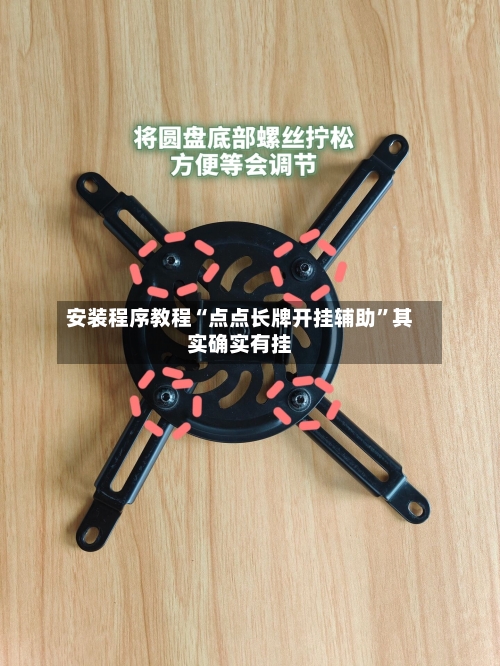 安装程序教程“点点长牌开挂辅助”其实确实有挂