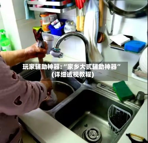 玩家辅助神器:“家乡大贰辅助神器”(详细透视教程)