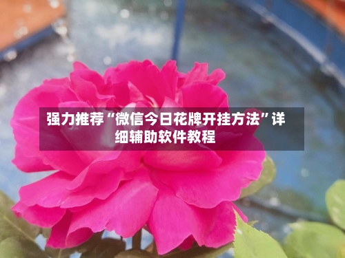 强力推荐“微信今日花牌开挂方法”详细辅助软件教程