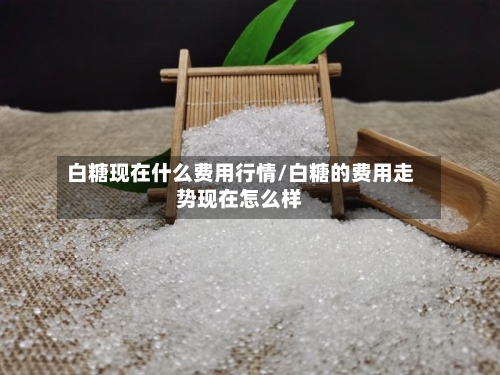 白糖现在什么费用行情/白糖的费用走势现在怎么样