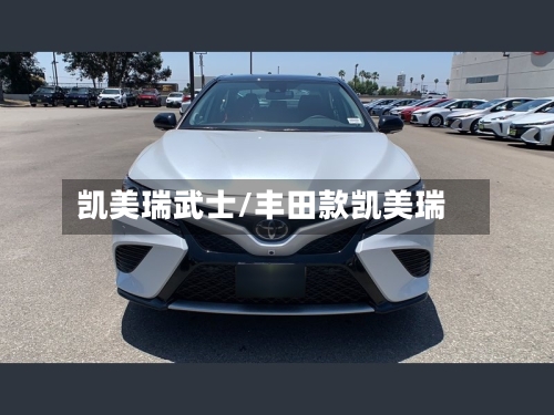 凯美瑞武士/丰田款凯美瑞