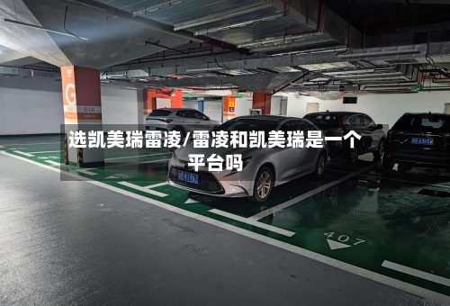 选凯美瑞雷凌/雷凌和凯美瑞是一个平台吗