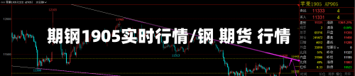 期钢1905实时行情/钢 期货 行情