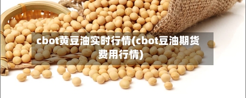 cbot黄豆油实时行情(cbot豆油期货费用行情)