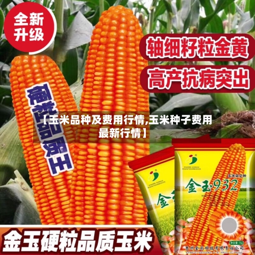【玉米品种及费用行情,玉米种子费用最新行情】