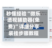 秒懂经验“微乐透视辅助器(免费)”详细分享装挂步骤教程
