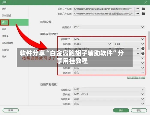 软件分享“白金岛跑胡子辅助软件”分享用挂教程