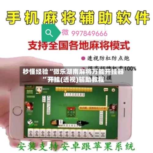 秒懂经验“微乐湖南麻将万能开挂器”开挂(透视)辅助教程
