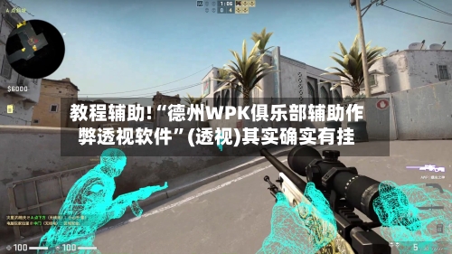 教程辅助!“德州WPK俱乐部辅助作弊透视软件”(透视)其实确实有挂