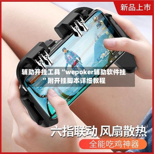 辅助开挂工具“wepoker辅助软件挂”附开挂脚本详细教程