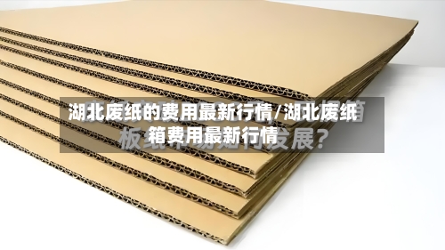 湖北废纸的费用最新行情/湖北废纸箱费用最新行情