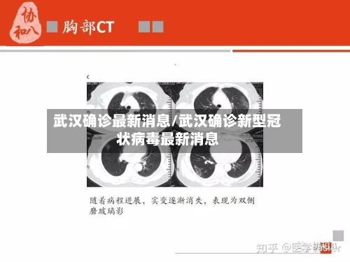 武汉确诊最新消息/武汉确诊新型冠状病毒最新消息