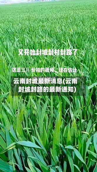 云南封城最新消息(云南封城封路的最新通知)