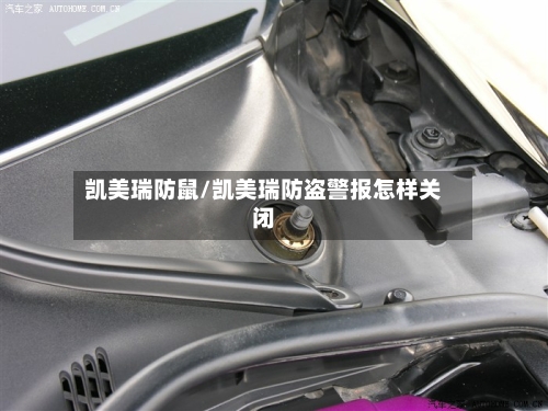 凯美瑞防鼠/凯美瑞防盗警报怎样关闭