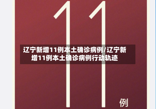 辽宁新增11例本土确诊病例/辽宁新增11例本土确诊病例行动轨迹