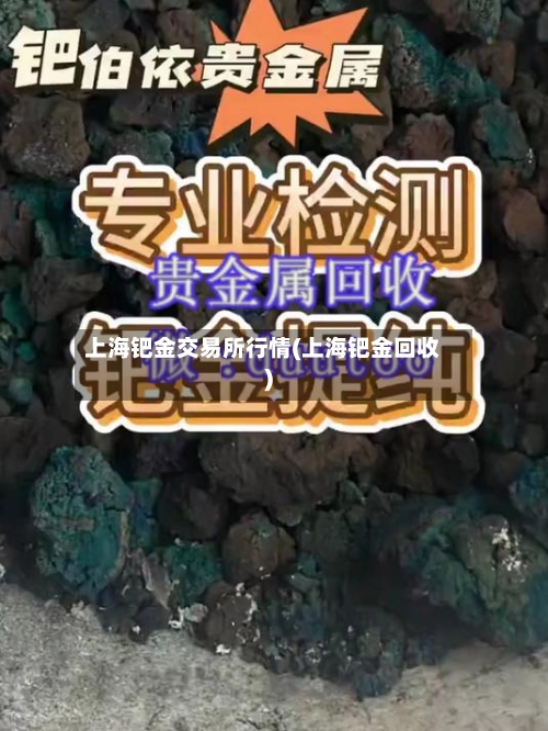 上海钯金交易所行情(上海钯金回收)