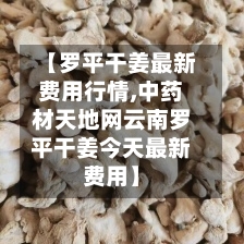 【罗平干姜最新费用行情,中药材天地网云南罗平干姜今天最新费用】
