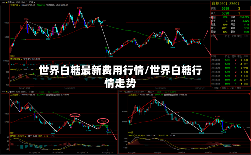 世界白糖最新费用行情/世界白糖行情走势