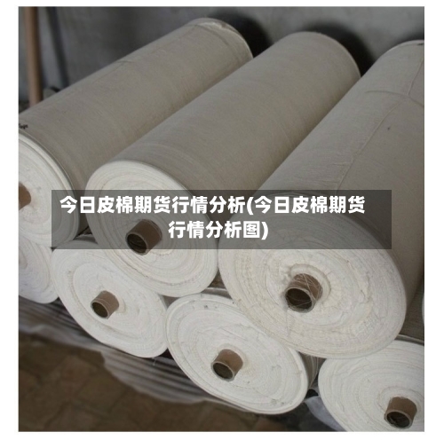 今日皮棉期货行情分析(今日皮棉期货行情分析图)