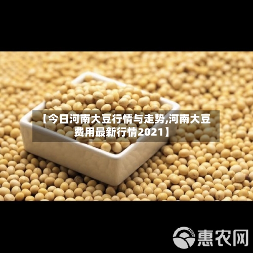 【今日河南大豆行情与走势,河南大豆费用最新行情2021】