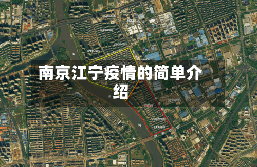南京江宁疫情的简单介绍