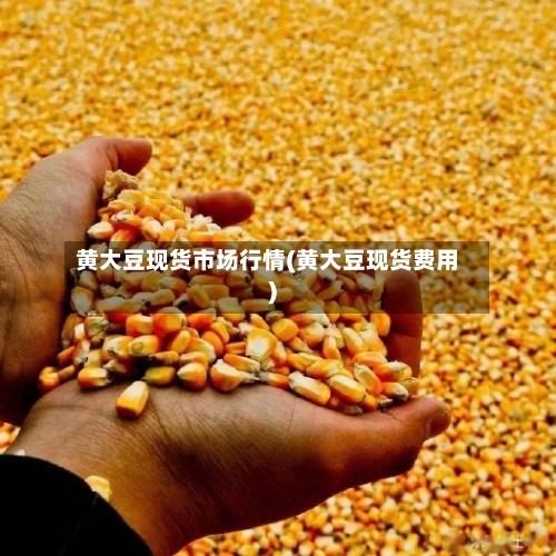 黄大豆现货市场行情(黄大豆现货费用)