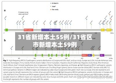 31省新增本土55例/31省区市新增本土59例