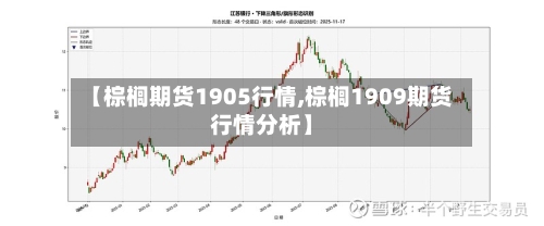 【棕榈期货1905行情,棕榈1909期货行情分析】