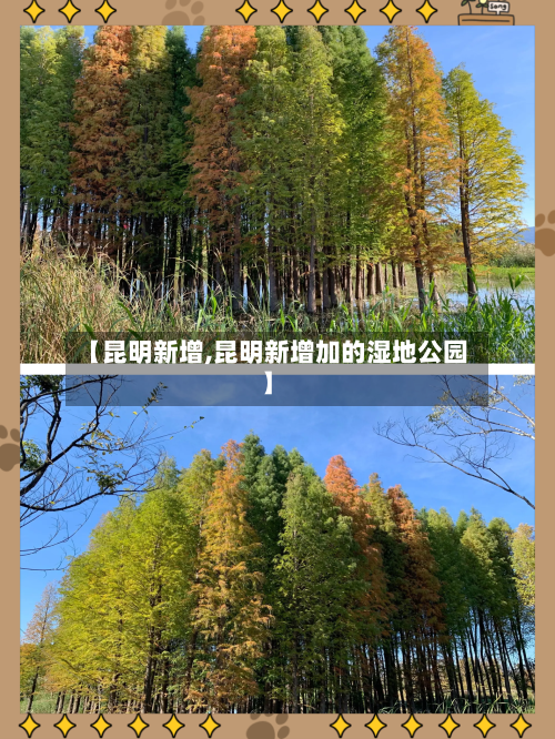 【昆明新增,昆明新增加的湿地公园】