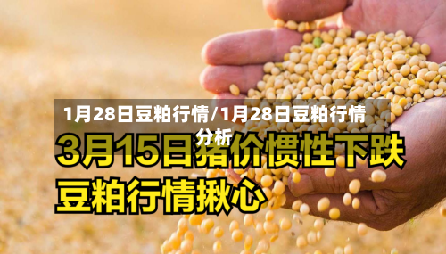 1月28日豆粕行情/1月28日豆粕行情分析