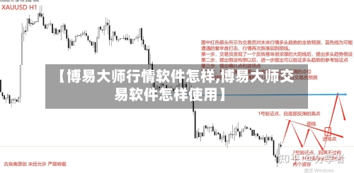 【博易大师行情软件怎样,博易大师交易软件怎样使用】