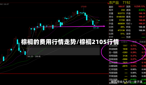 棕榈的费用行情走势/棕榈2105行情