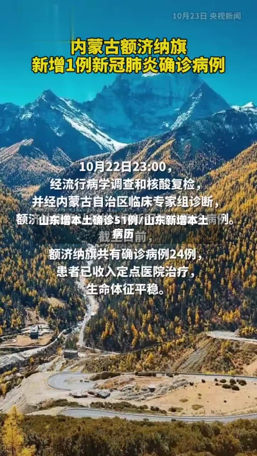 山东增本土确诊51例/山东新增本土病历