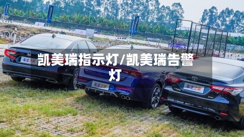 凯美瑞指示灯/凯美瑞告警灯