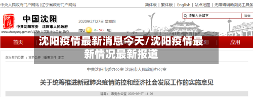 沈阳疫情最新消息今天/沈阳疫情最新情况最新报道