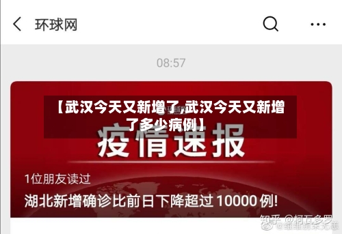 【武汉今天又新增了,武汉今天又新增了多少病例】