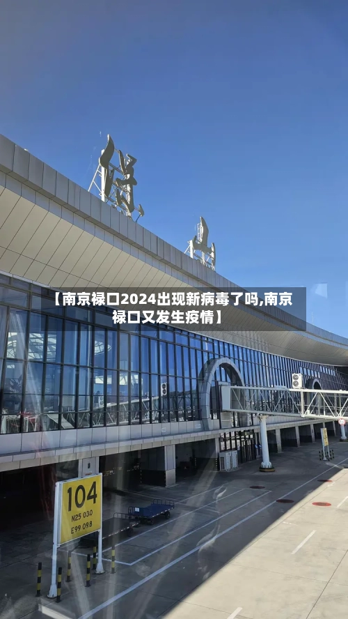 【南京禄口2024出现新病毒了吗,南京禄口又发生疫情】