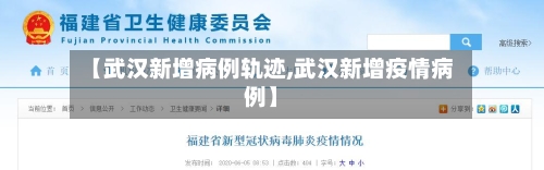 【武汉新增病例轨迹,武汉新增疫情病例】