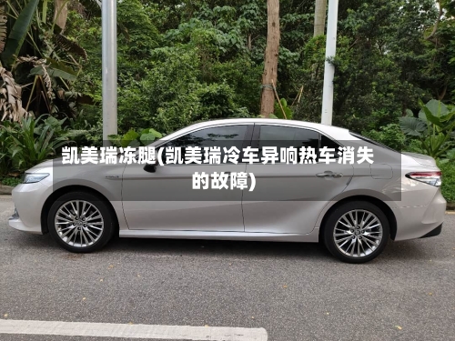 凯美瑞冻腿(凯美瑞冷车异响热车消失的故障)